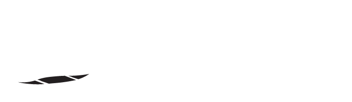 Dune Assessoria Logo